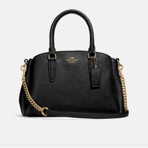 Coach Mini Sage Carryall